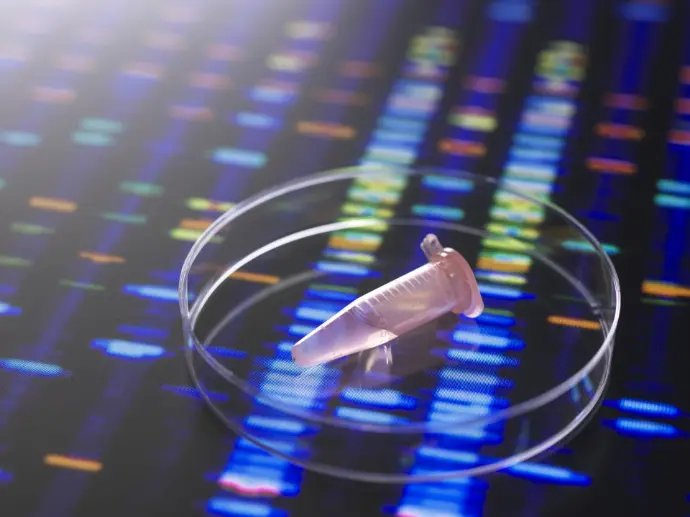 10.10 Horizontal DNA Gel Box