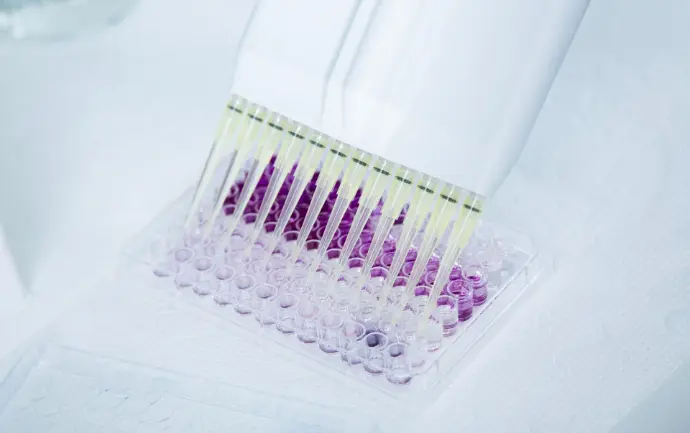 Electronic 2-20uL Single Channel Pipette For Universal Tips, With Charger 1/EA